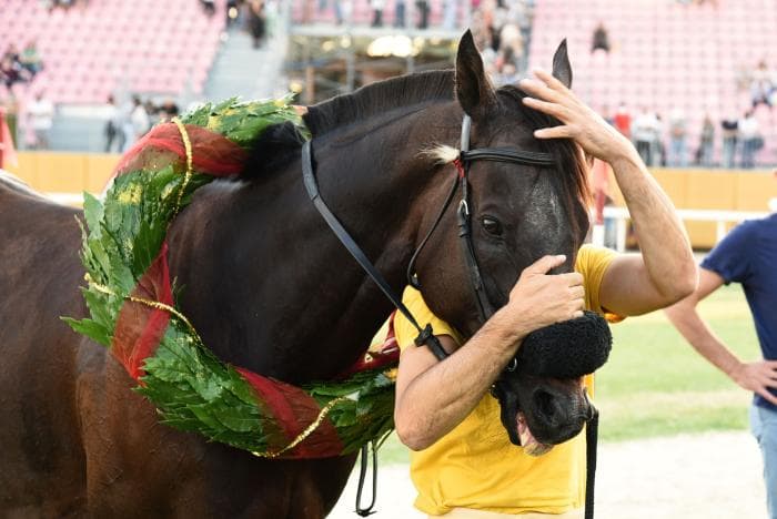 Federico-olivotto-fotofutura-foligno-reportage (7) - Copia.jpg